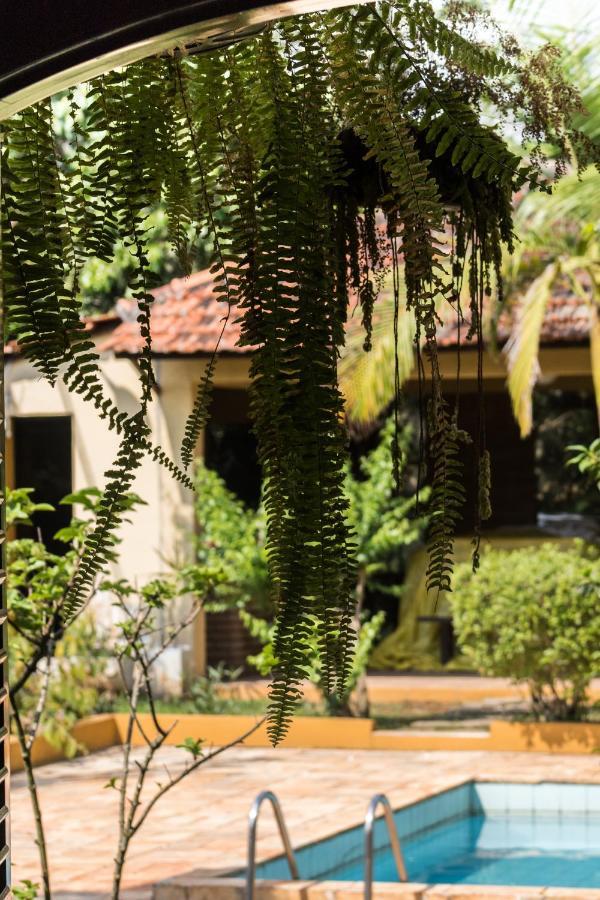 Villa Bem Querer - Suite Mairiporã 外观 照片